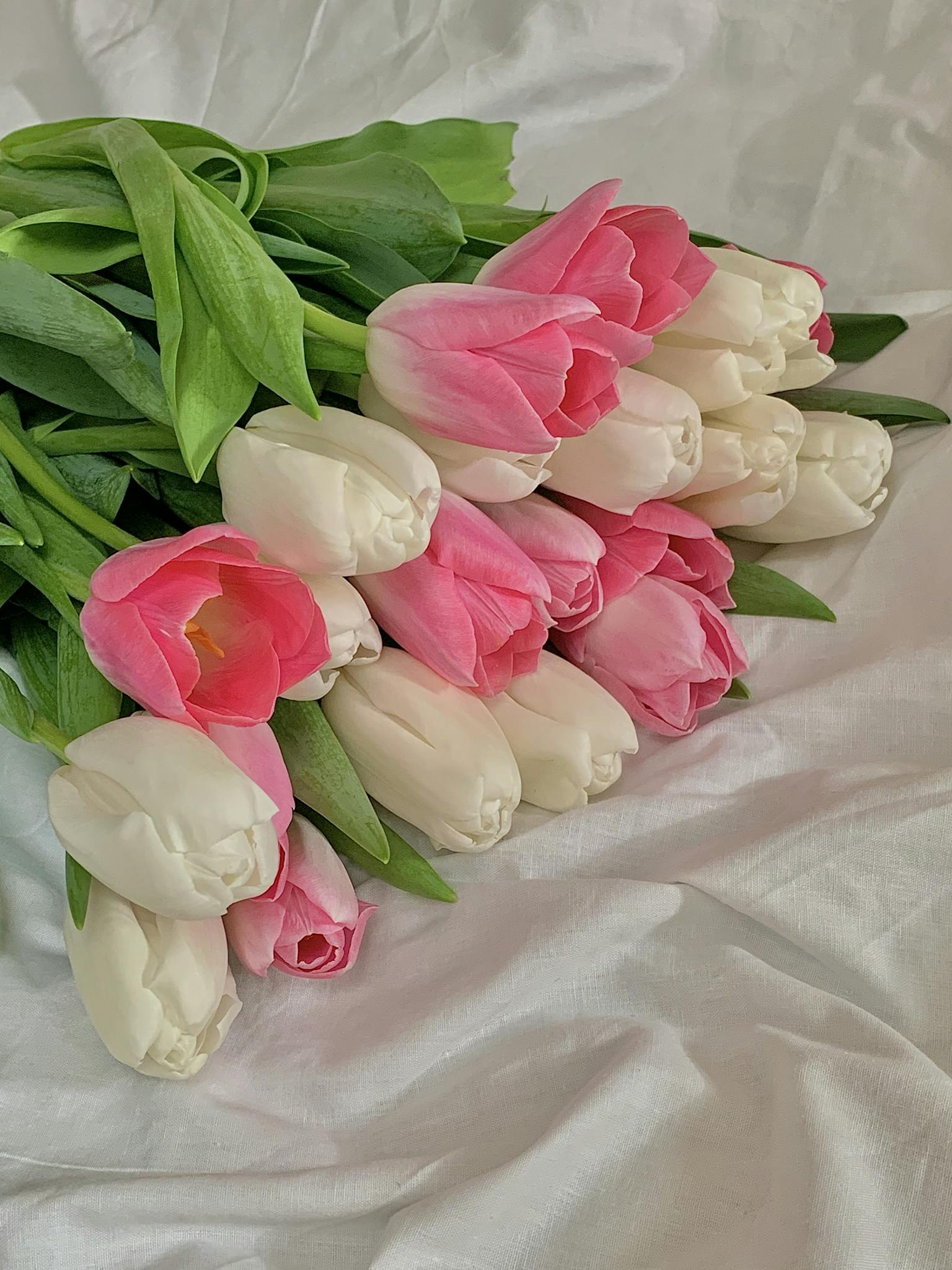 A beautiful bouquet of pink and white tulips placed on soft white linen, showcasing the natural beauty and elegance of spring flowers.