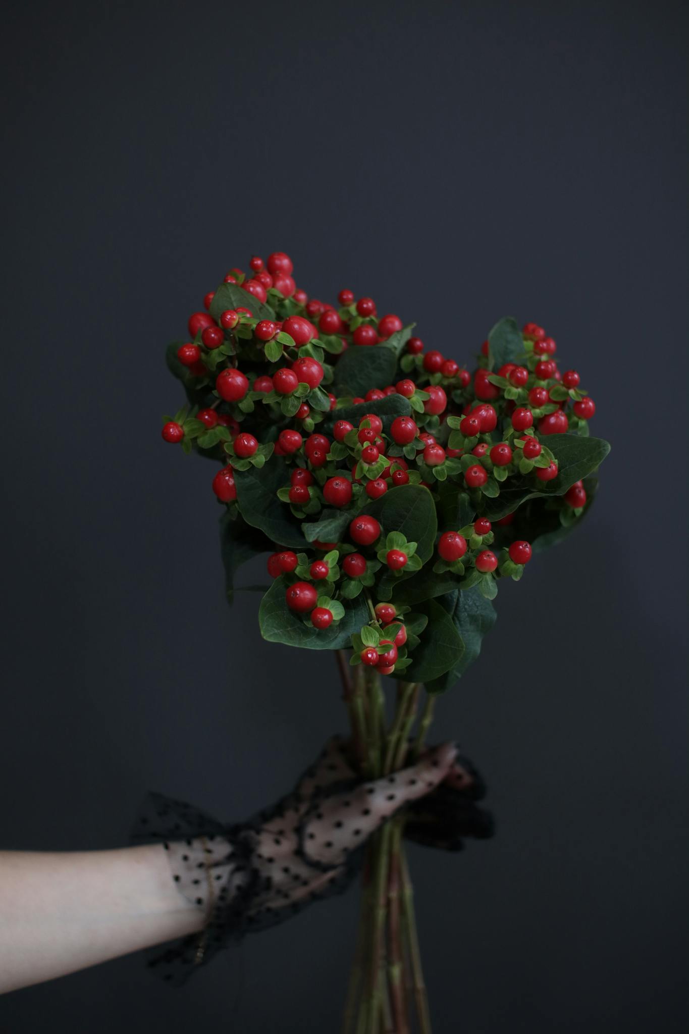 A hand holding a stylish bouquet of red berries against a dark background.