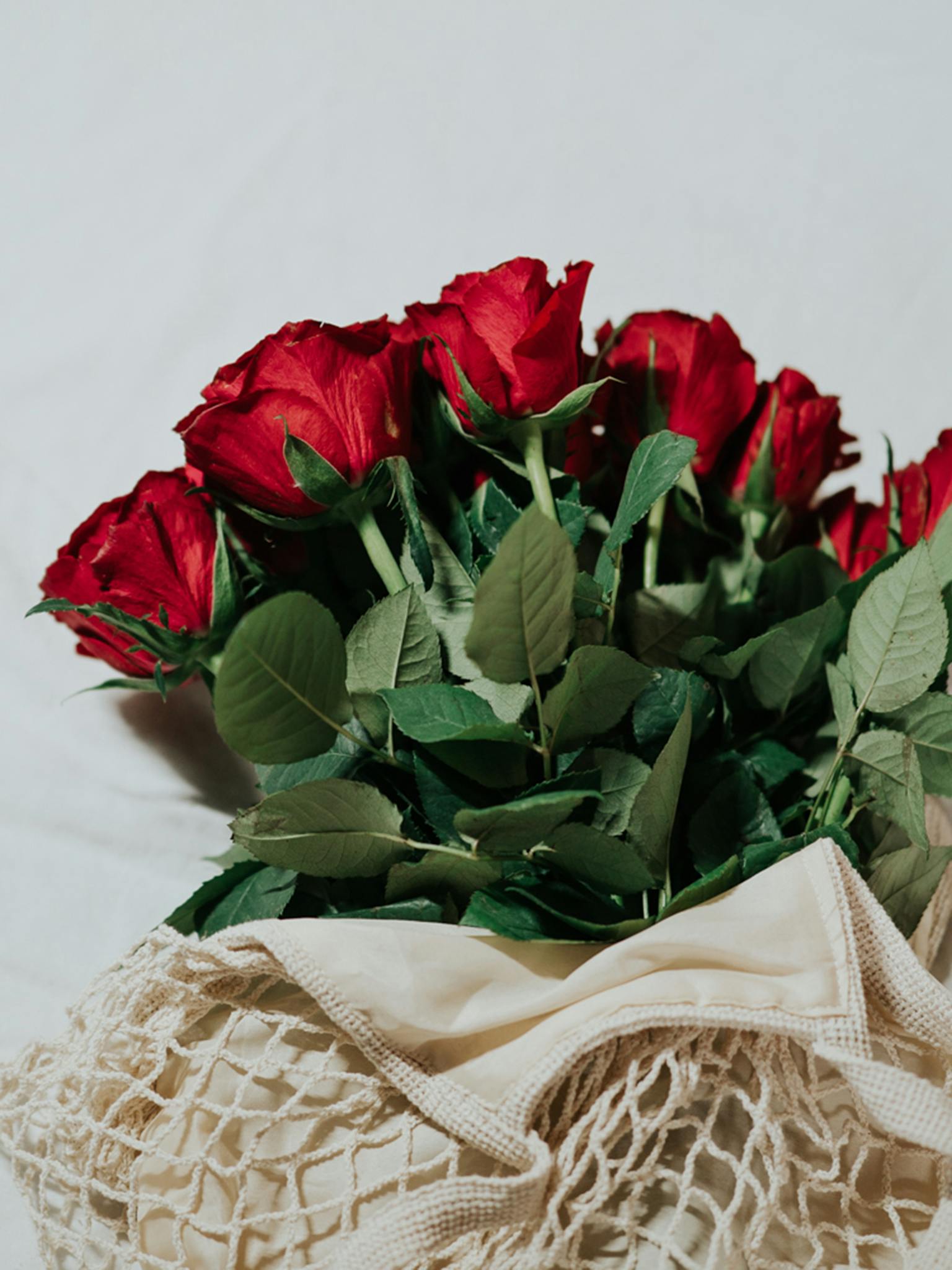 Aesthetic display of vibrant red roses arranged in a mesh bag on a white surface, emphasizing natural beauty.