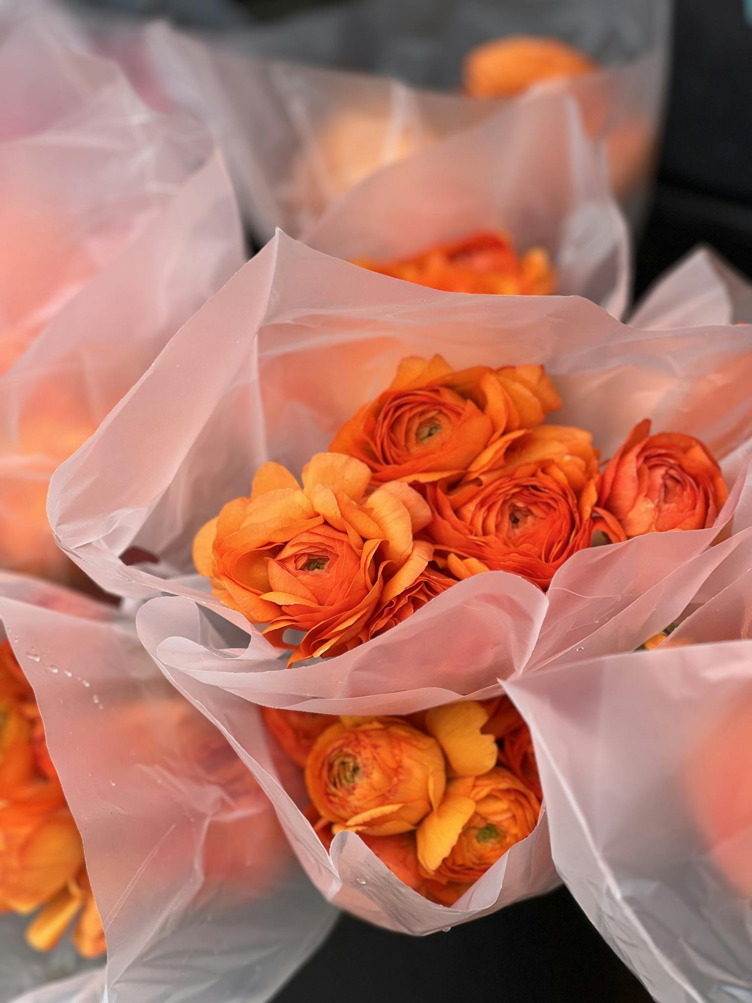 Bright orange flower bouquets in soft wrapping, captured in natural light.